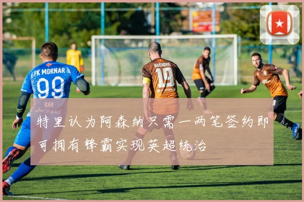 特里认为阿森纳只需一两笔签约即可拥有锋霸实现英超统治
