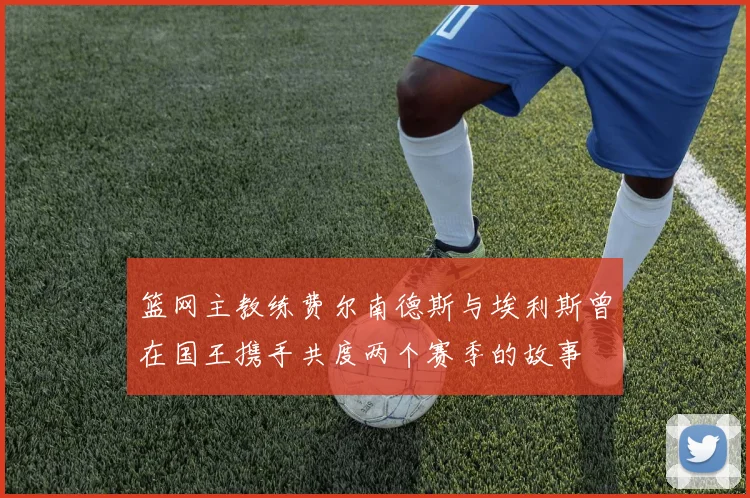 篮网主教练费尔南德斯与埃利斯曾在国王携手共度两个赛季的故事